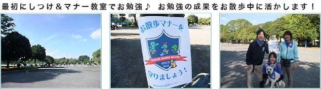 最初にしつけとマナー教室でお勉強、勉強の成果を散歩中に活かします