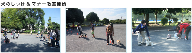 犬のしつけとマナー教室開始