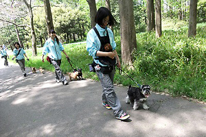 水元公園に遠足２