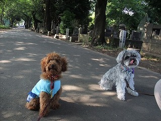 お外でお座り！場所は・・・☆