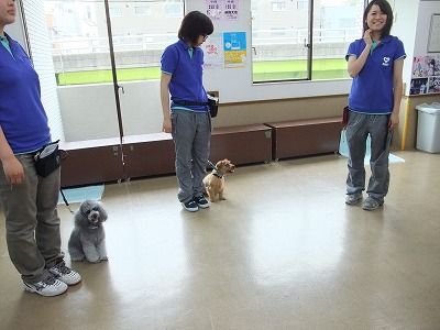 みんなでお勉強会☆