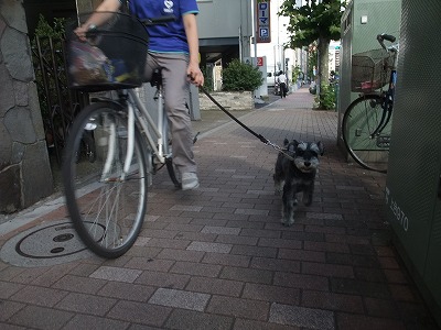 自転車deお散歩☆