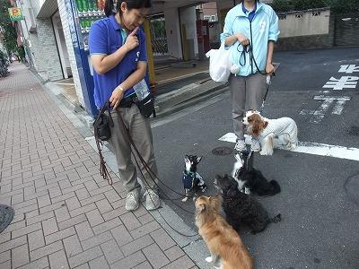 お勉強中☆