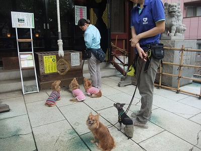 元三島神社、参拝☆