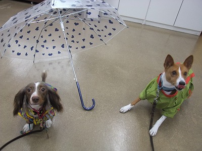 雨の日を楽しむ☆