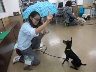 雨の日には・・・