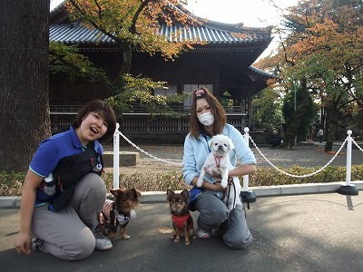 秋の寛永寺