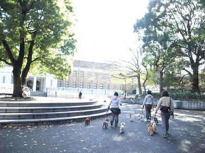 ☆お散歩in上野公園☆