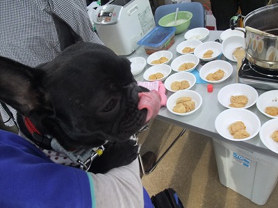 餅つき大会inDOGLY