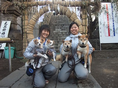 元三島神社へ初詣