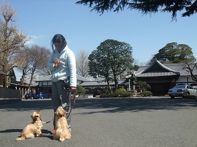 大きな空と木の下で♪♪