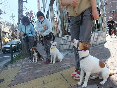 手をあげて渡りましょう♪