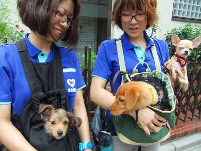 社会化ですね♪