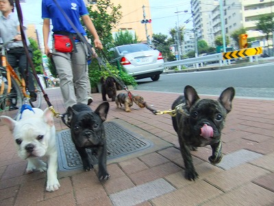 お散歩してます♪