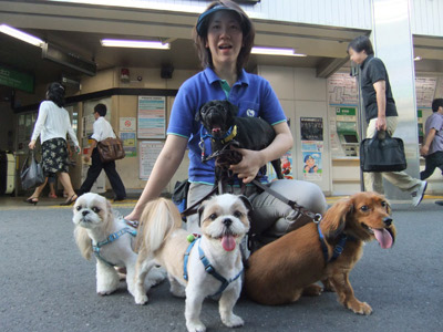 華麗なフォーメーション☆