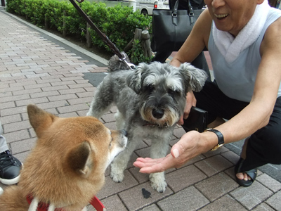 挨拶が肝心ね♪