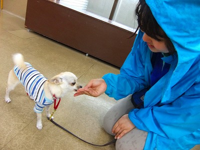 雨の日には・・・