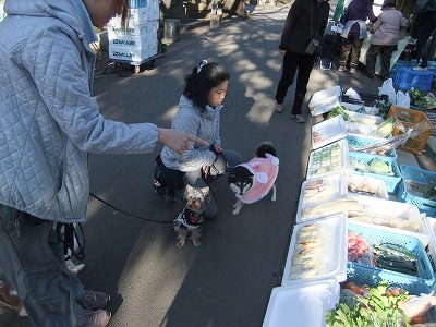 年越し準備☆