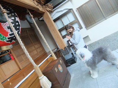 チュッピーちゃんの神社巡り