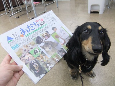 ☆飼い主の義務とは？☆