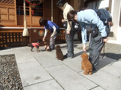 ☆ちびっ子散歩☆ 