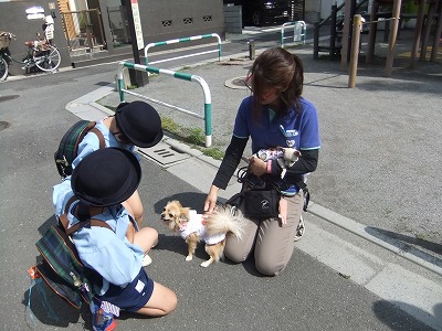 カワイイお友達に遭遇