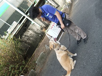 刺激の中でもアイコンタクト