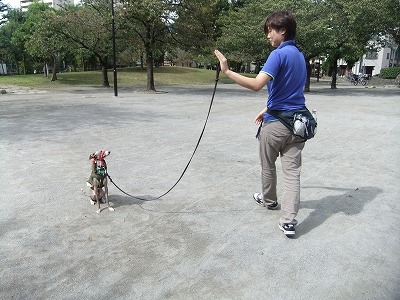 お外でだって☆