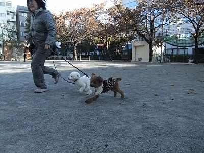 たくさん発散