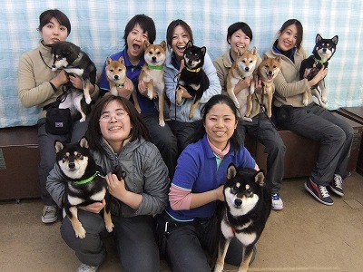 日本のお正月 