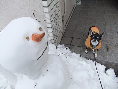 スノーマンとの遭遇☆