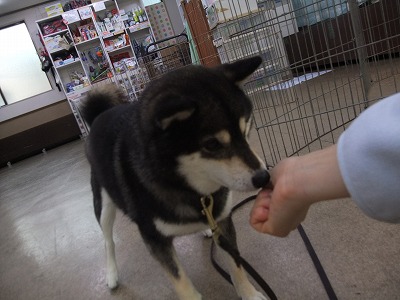 室内でも発散