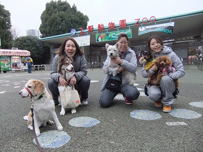 上野動物園にやってきました