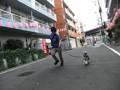 お外で体力発散