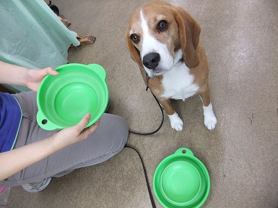 夏はこまめに水分補給を！！