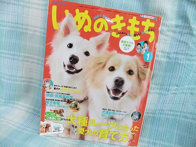 いぬのきもち１月号