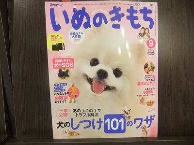 いぬのきもち９月号