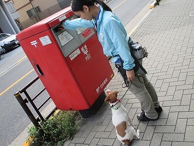 日常生活への応用