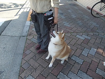 お外でもバッチリ♪