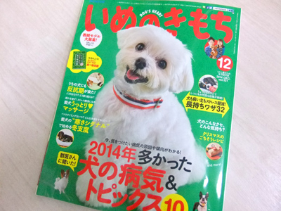 いぬのきもち12月号