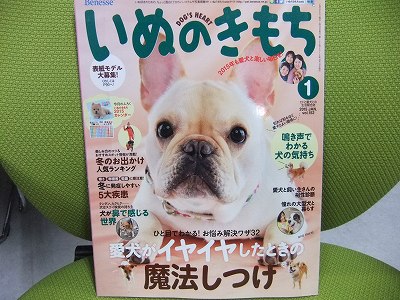 いぬのきもち1月号