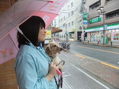 雨の日も