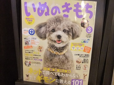 いぬのきもち3月号