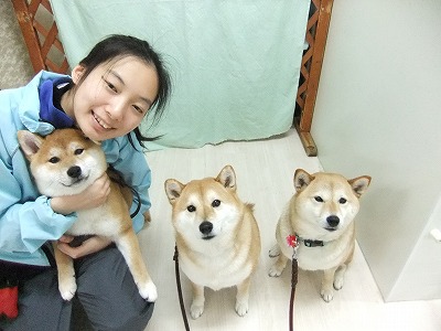 柴犬's☆