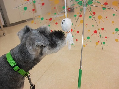 台風をふきとばせ！