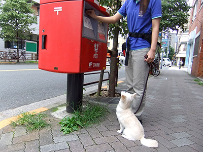 お散歩しながら…