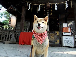 神社には・・・。