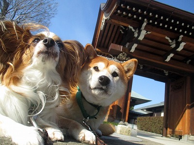 神社の前にて