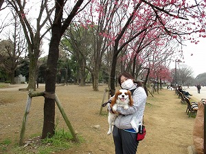 ♪季節はもう春♪