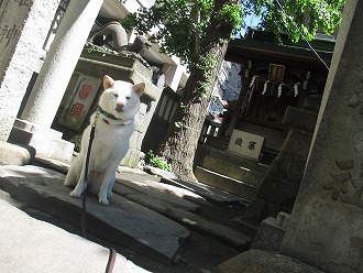 神社にて…